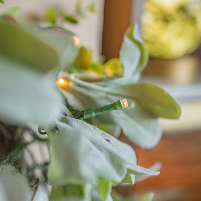EUCALYPTUS BERRY - 6ft Garland with 100 8 Function Lights