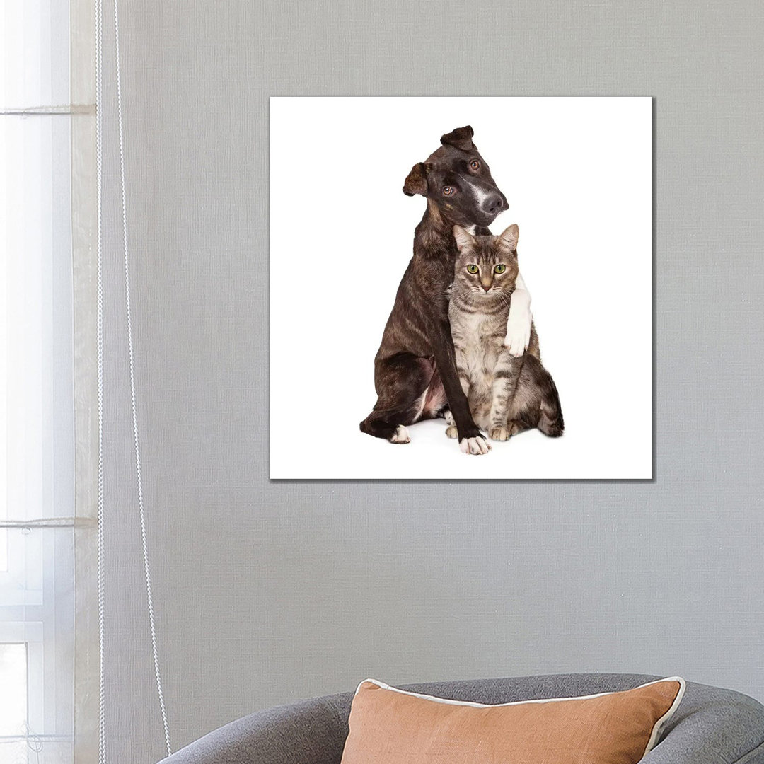 Dog With Arm Around Cat by Susan Schmitz - Wrapped Canvas Gallery-Wrapped Canvas Giclée
