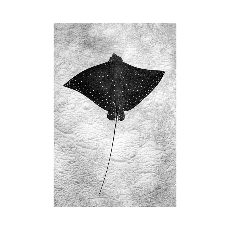 «Sp Spot Eagle Ray Vertical» par Jordan Robins, reproduction de photo sur toile tendue, H 18 po x l 12 po x 1,5 po
