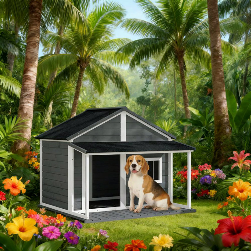 Dog Kennel House, Gris