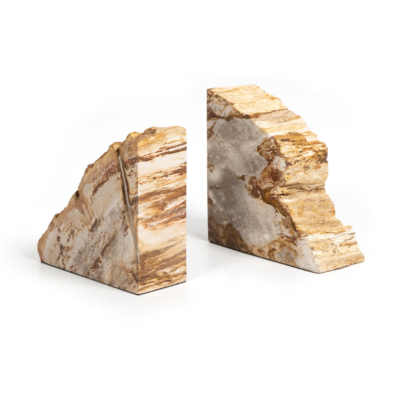 Petrified 2 Piece Wood Book End Set
