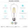 Equivalent ST19 E26/Medium (Standard) Dimmable LED Bulb
