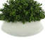 11'' Faux Boxwood Plant in Fiberstone Planter