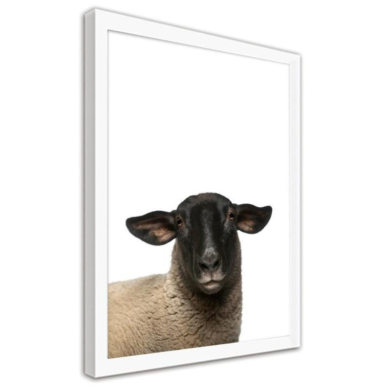 Gerahmter Fotodruck Sheep