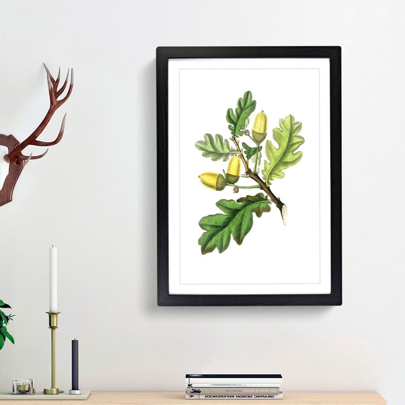 English Oak Tree Illustration - Picture Frame Painting Print, 36cm H x 27cm W x 2cm D, Black Framed