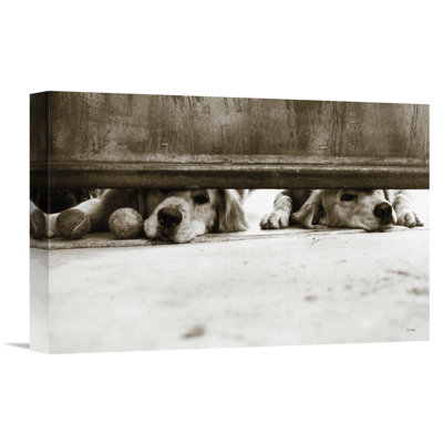 We See You V2 by Jim Dratfield - Photograph on Canvas