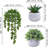 3 Pcs Assorted Small Potted Succulent Plants Artificial Aloe Hops String Of Pearls Succulents In Gray Geometric Concrete Pots