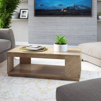 Table basse avec rangement Roybal
