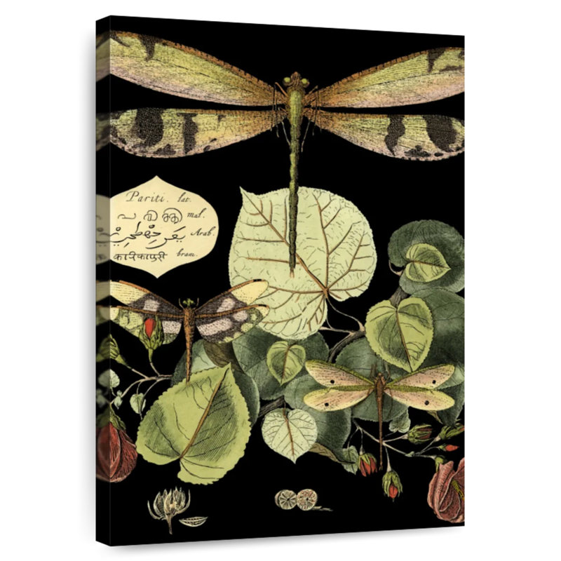 Keiri Whimsical Dragonfly On Black II, 45" H x 30" W
