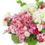 Hortensias et renoncules disposés en pot en céramique
