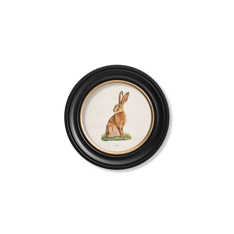 Hare by Mid-1800s - Single Picture Frame Print on Archival Matt 230gsm Paper