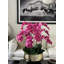 Roberi bowl with multiple stems of white Phalaenopsis orchids-1155361735-1152908704