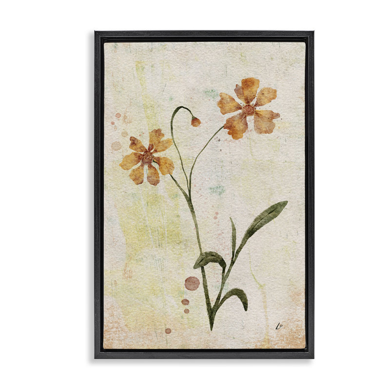  «Ceropsis Flower Sprig» par Lydia Orange, Cadre flottant noir de jais, H 25 po x l 17 po