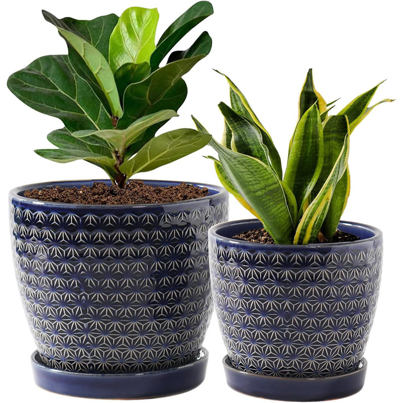 Ensemble de 2 pots à plantes en céramique bleue