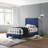Upholstered Bed Frame With Button Tufted-1427194742-1427194731