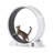 Cat Exercise Wheel with Pedometer Cat Treadmill for Pet Health-997032283