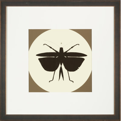 Insect Silhouette " Insect Silhouette II "