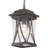 Abbott Outdoor Hanging Lantern-1019835653