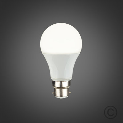 Shuler 6W A19 LED Light Bulb