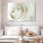Rose en soie Harnek-108738162