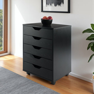Barakha 5 Drawer Accent Chest by Ivy Bronx