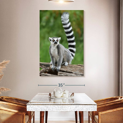 Brampt Ring Tailed Lemur On A Log
