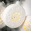 Ravenwood The Holiday Aisle® No Pattern Disc Ornament Lighted