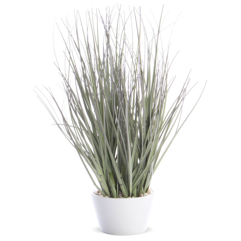 Faux Grass Plant in Plastic Pot, 26cm H x 15cm W x 15cm D, Grey/Brown/Blue