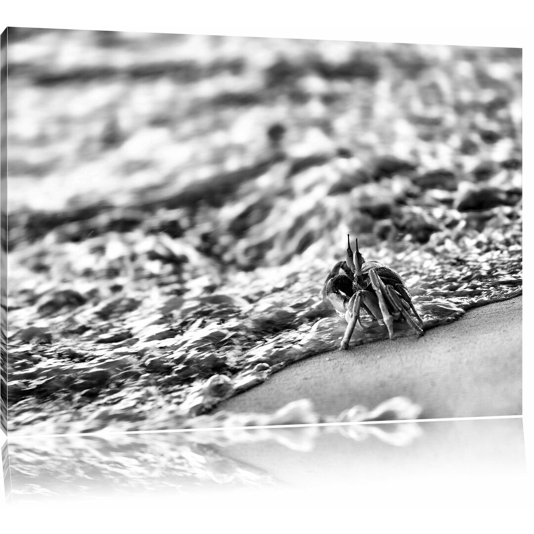 Leinwandbild Kleine Krabbe am Strand in Monochrom