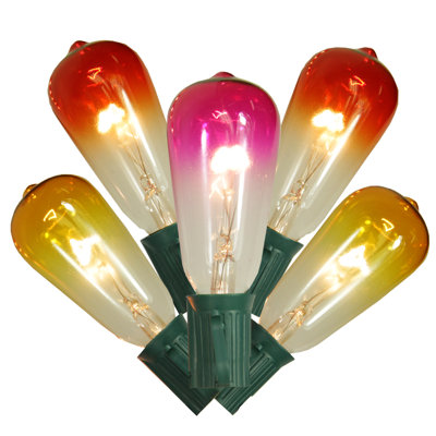 10-Count Transparent ST40 Edison Style Patio Lights 9 ft Green Wire