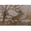 Moose Creek 1 Panel Bifold Steel Fireplace Screen