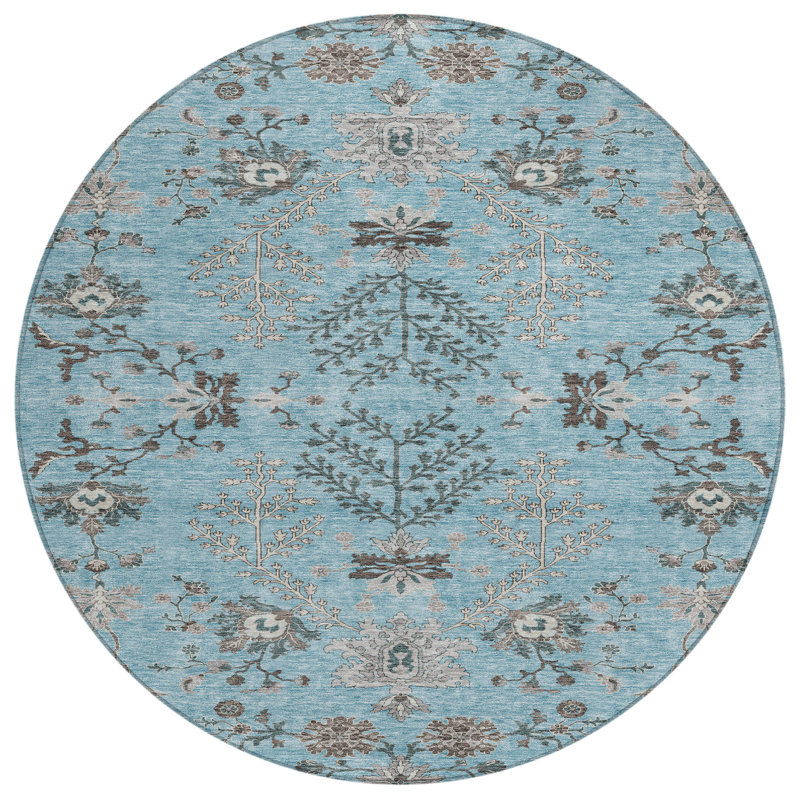 Machine Washable Indoor/Outdoor Cicel ACN1156 Sky Rug, Round 8'