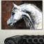 «Gray Arabian Horse Watercolor», reproduction d'art sur toile tendue-19407896