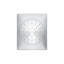 Kohler Loure 1.75 GPM Single-Function Showerhead with Katalyst Air-Induction Technology-46721501