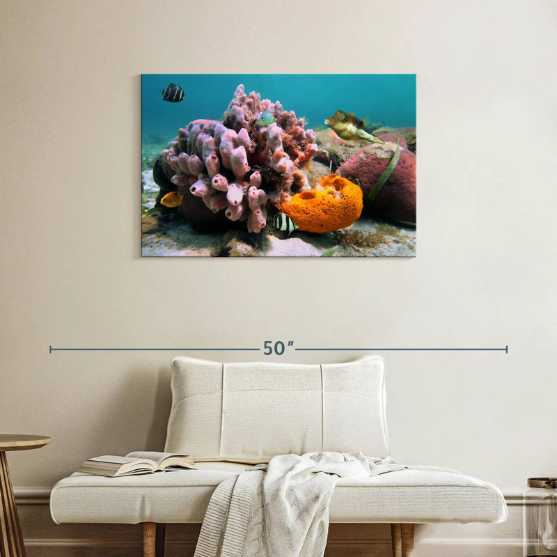 Brampt Pink Sea Sponge, 24" H x 36" W