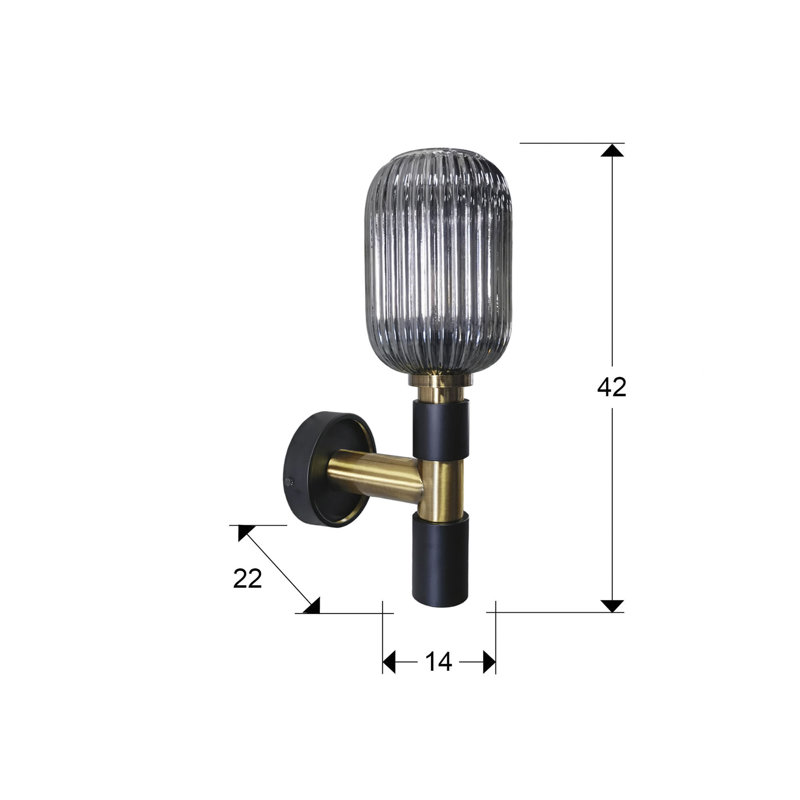 Akeilah Iron Armed Sconce