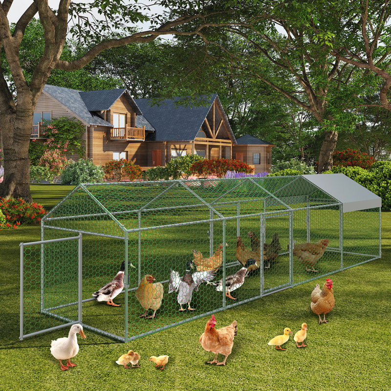 Chicken Run, 100cm H x 100cm W x 400cm D, Silver