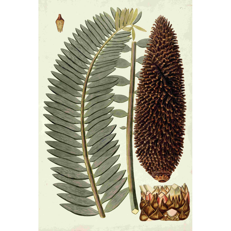 Feuille Variétés IV, H 18 po x l 12 po