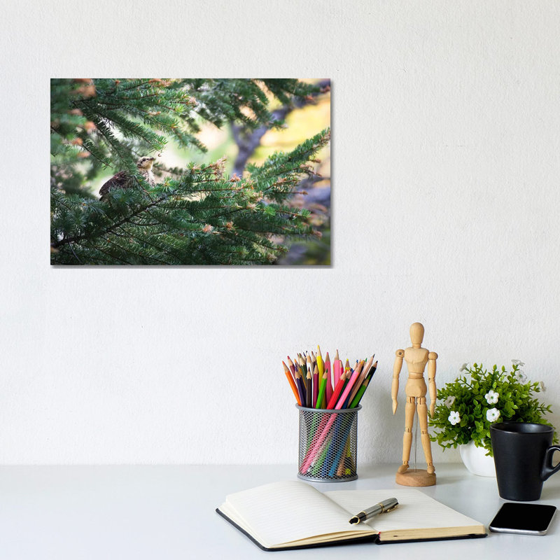 The Caterpillar by Mateusz Piesiak - Wrapped Canvas Print, 20.32 cm H x 30.48 cm W