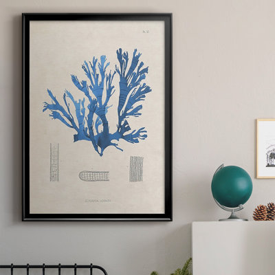 Blue Marine Algae IX, reproduction encadrée de qualité supérieure - prête à être accrochée