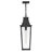 Hinkley Georgetown Hanging Lantern-108493386