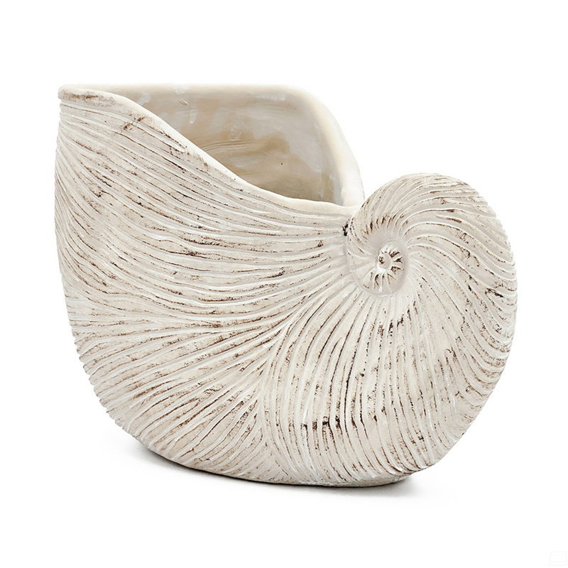 Sand And Cement Nautilus Shell Planter, 7.7" H x 11.5" W x 6.7" D