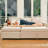 Armless Pullout Sleeper Sofa Module-1268347503