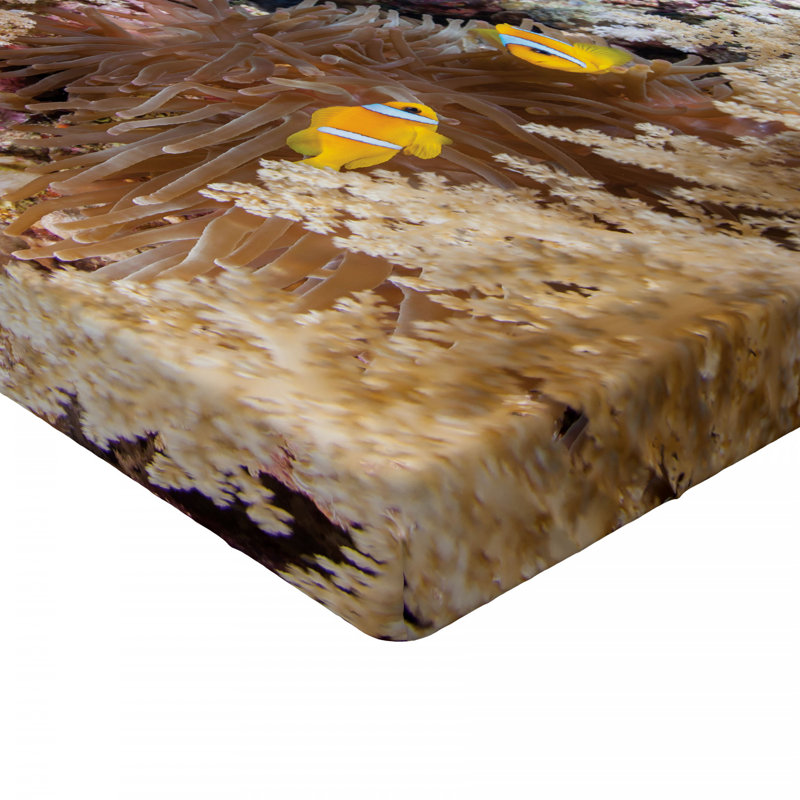 Microfiber Fitted Sheet, Twin Fitted Sheet