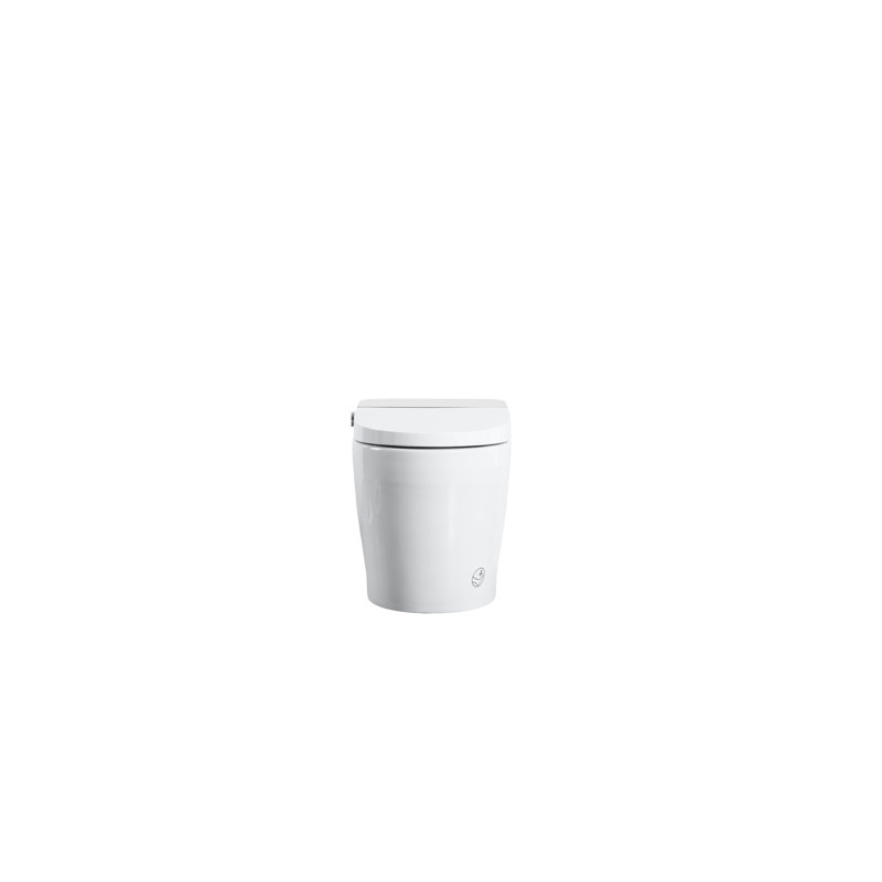 Toilette intelligente avec bidet intégré, chasse d'eau automatique et siège chauffant, fonction de séchage à l'eau chaude réglable, options de lavage multiples, y compris lavage par bulles de massage, affichage numérique coloré nuit douce, pied