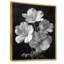 Monochromes blancs et noirs, botanique, géraniums - géraniums, impression d'art mural-1599166102-1599166100