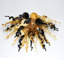 Mini-lustre en verre Angel Murano-91545362-91545363-91545364