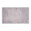 Tapis gris soyeux et moelleux-100863186