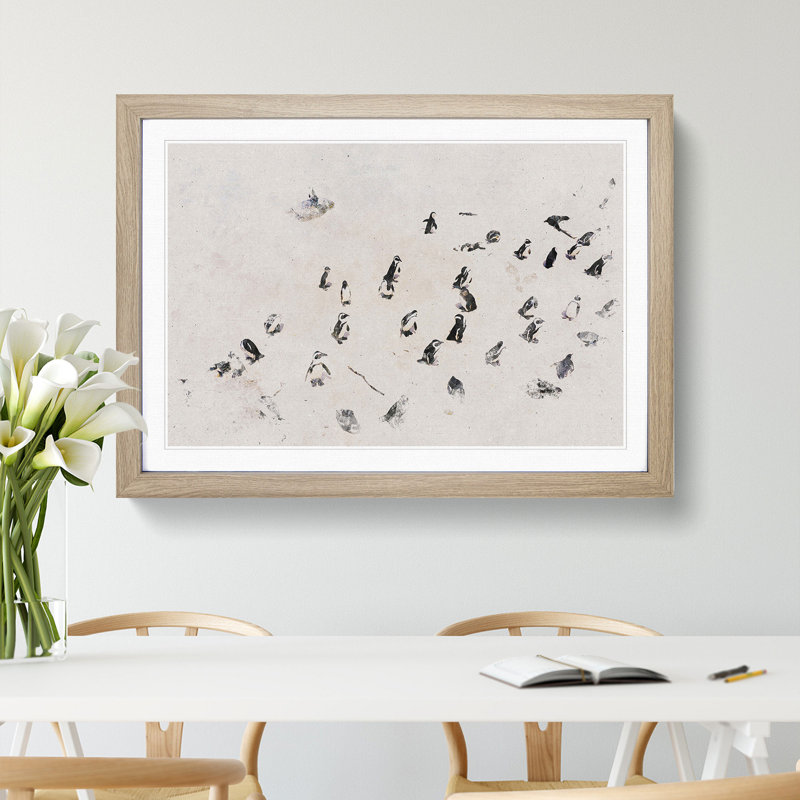 Penguin Beach - Picture Frame Graphic Art, 27cm H x 36cm W x 2cm D, Oak Framed