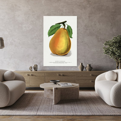 «Duchess D'angouleme Pear», art mural rétro rétro